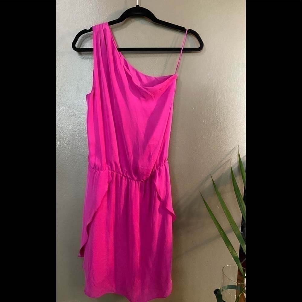 BNWOT- Raw silk Mason Dress- Xsmall